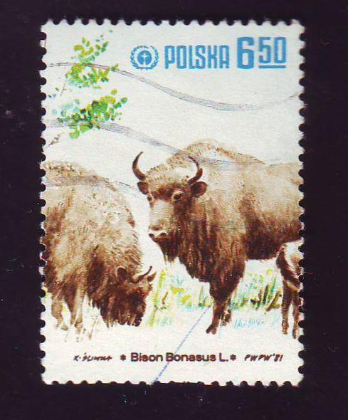    Польша 1981 Фауна Дикие животные 