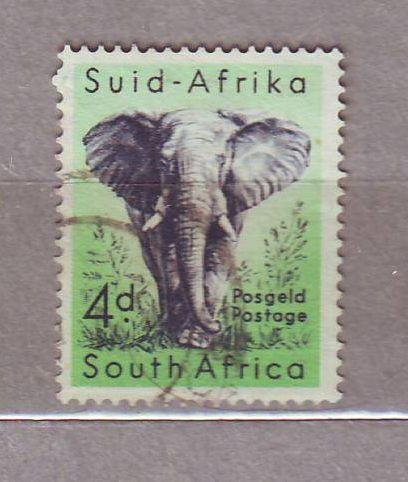   ЮАР 1959 Фауна Дикие животные Слон  