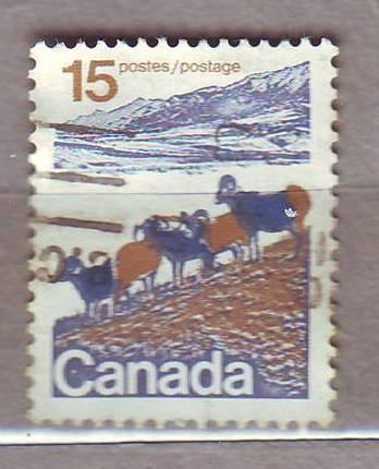 Канада 1976  Фауна Животные  Млекопитающие Овцы  Пейзажи 