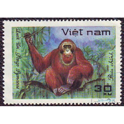 Северный Вьетнам 1981 Фауна  Мартышка (Обезьяна)