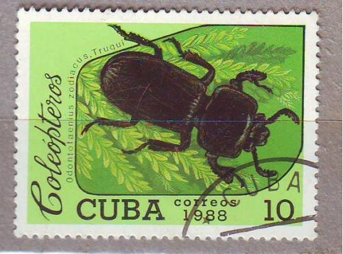  Куба 1988 Фауна  Насекомые Жук