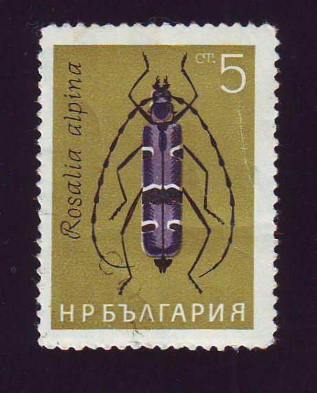 Болгария 1999 Фауна Насекомые Жук 