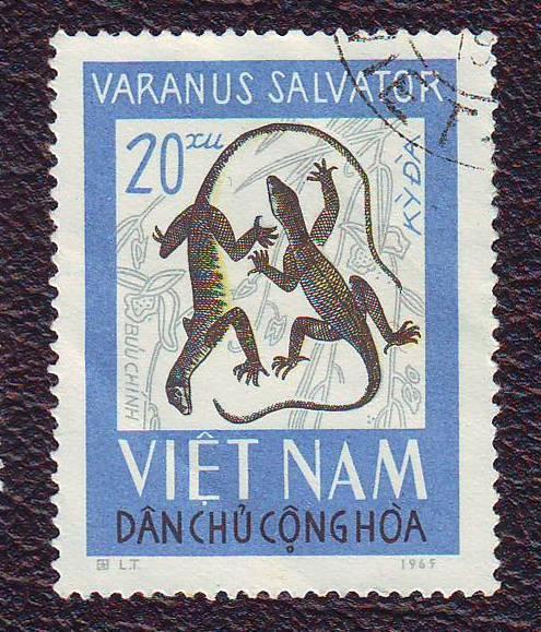  Северный Вьетнам 1966  Фауна  Рептилии Вараны