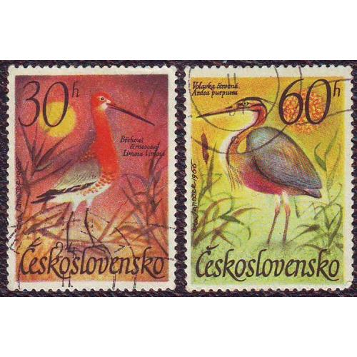  Чехословакия 1967 Фауна Птицы  