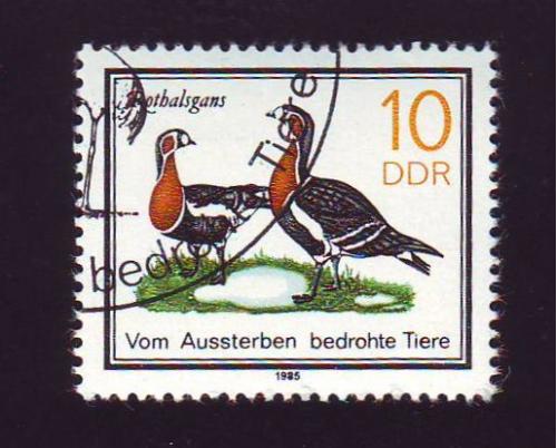   Германия 1985 Фауна Птицы 