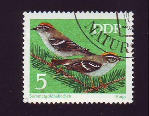 Германия 1973 Фауна  Птицы 