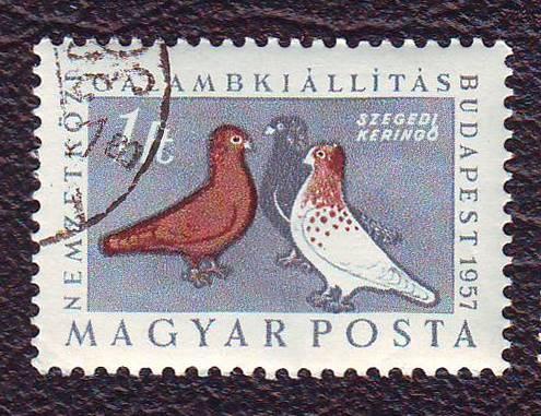   Венгрия 1957 Фауна Птицы Международная выставка голубей