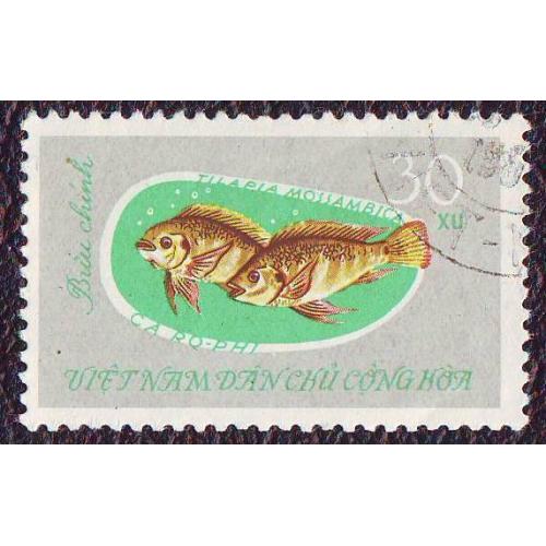  Северный Вьетнам 1963 Фауна Рыбы 