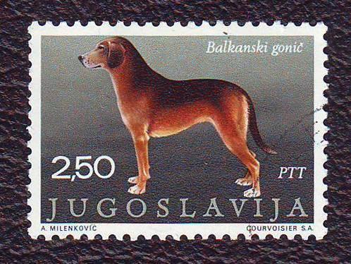 Фауна Собака 1986 Югославия
