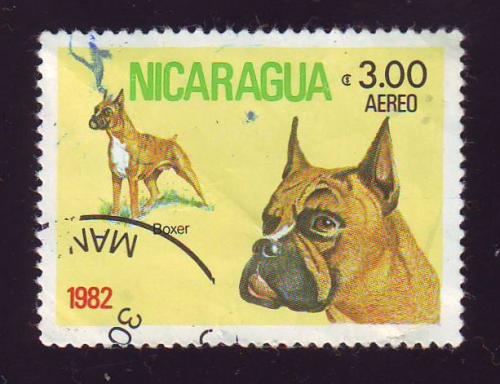  Никарагуа 1982  Фауна Собаки