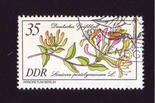 Германия 1981  Флора Цветы 
