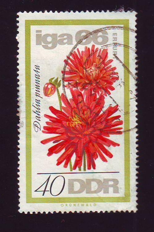  Германия 1966 Флора Цветы 