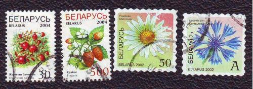 Флора  Цветы Плоды 2002  Беларусь