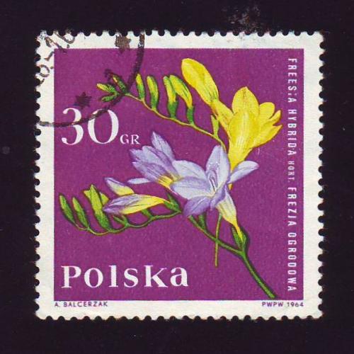    Польша 1964 Флора  Цветы