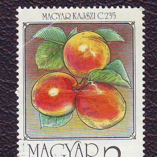  Венгрия 1986 Флора Плоды 