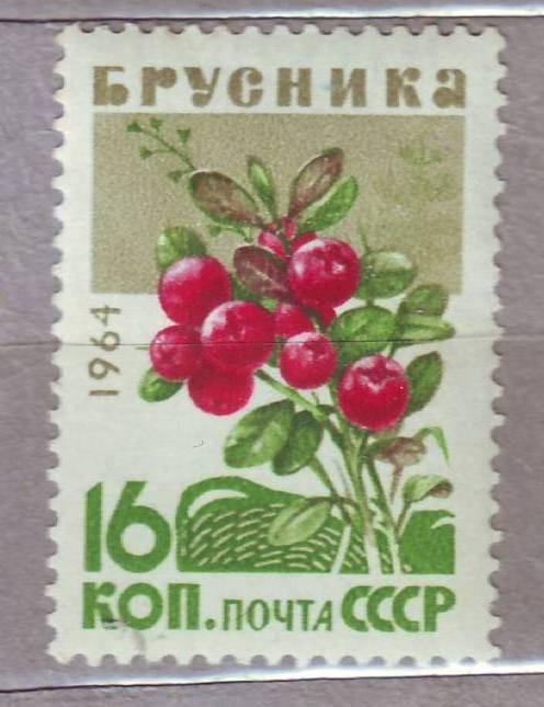 СССР 1964 Флора Плоды Брусника  Негашеная