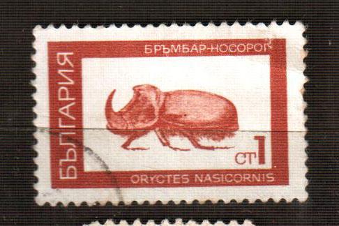 Болгария Фауна Жук Носорог марка