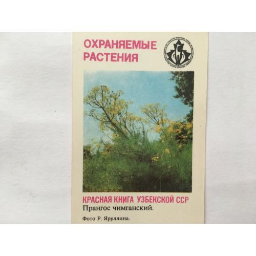 Красная книга узбекской ССР 5. 1987 год. 
