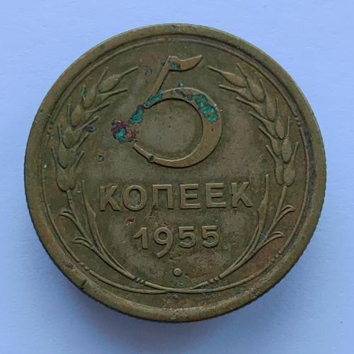 Монета 5 копеек 1955 год, 5 копійок 1955 рік