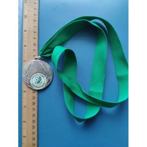 Европа - Медаль - Спорт - Футбол - муаровая лента . Б/У .