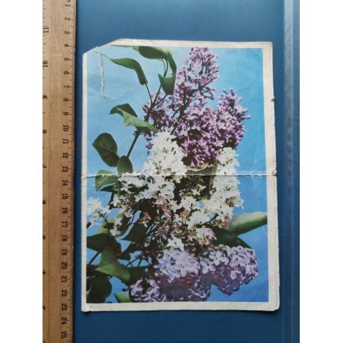 СССР - открытка - Почтовая Телеграмма - год выпуска 1968 - прошла почту - Б/У . Распродажа коллекции