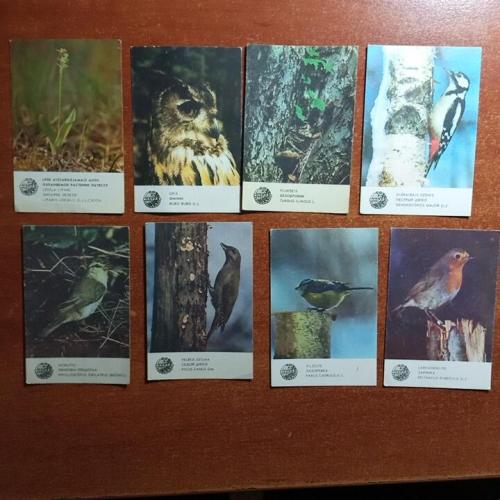 Календари из серии-Птицы