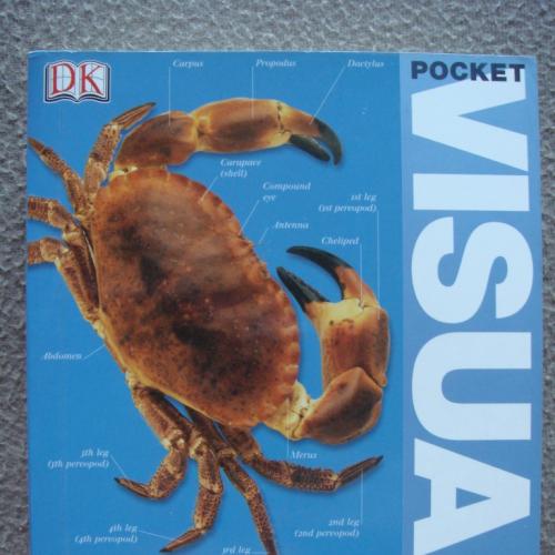 "Pocket Visual Dictionary".