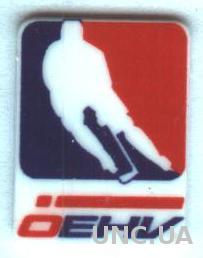Австрия, федерация хоккея, №2, тяжмет / Austria ice hockey union federation pin