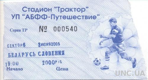 билет Беларусь- Словения 2005 отбор на ЧМ-2006 / Belarus - Slovenia match ticket