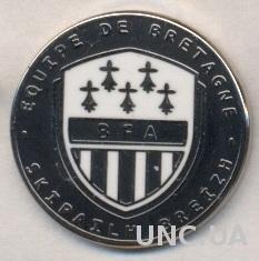 Бретань,федерация футбола (не-ФИФА)ЭМАЛЬ /Brittany football federation pin badge