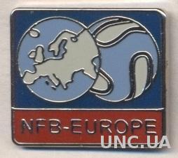 Европа (не-ФИФА) конфед.футбола, ЭМАЛЬ / NF-Board Europe football federation pin