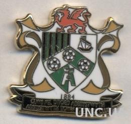 футбол.клуб Аберистуит (Уэльс)1 ЭМАЛЬ /Aberystwyth Town,Wales football pin badge