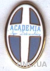 футбол.клуб Академия К(Молдова) ЭМАЛЬ /FC Academia Chisinau,Moldova football pin