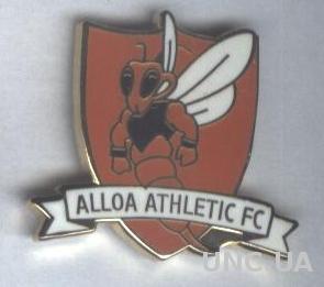 футбол.клуб Аллоа Атлетик (Шотландия) ЭМАЛЬ / Alloa Athletic, Scotland pin badge