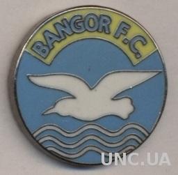 футбол.клуб Бангор (Сев.Ирландия) ЭМАЛЬ / Bangor FC,N.Ireland football pin badge