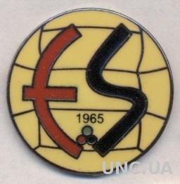 футбол.клуб Эскишехирспор (Турция) ЭМАЛЬ /Eskisehir SK,Turkey football pin badge