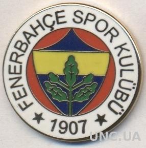 футбол.клуб Фенербахче (Турция) ЭМАЛЬ / Fenerbahce SK, Turkey football pin badge