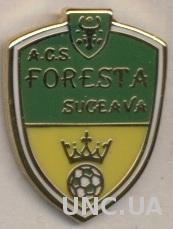 футбол.клуб Фореста (Румыния) ЭМАЛЬ / Foresta Suceava,Romania football pin badge