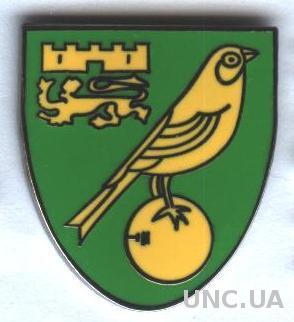 футбол.клуб Норвич (Англия), ЭМАЛЬ / Norwich City FC, England football pin badge