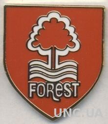 футбол.клуб Ноттингем (Англия) ЭМАЛЬ / Nottingham Forest FC,England football pin