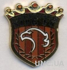 футбол.клуб Шанхай СИПГ (Китай) ЭМАЛЬ /Shanghai SIPG FC,China football pin badge