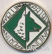 футбольный клуб Авеллино (Италия)2 ЭМАЛЬ / AS Avellino, Italy football pin badge