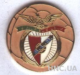 футбольный клуб Бенфика(Португалия)1 тяжмет /Benfica,Portugal football pin badge