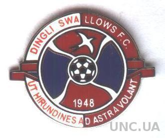 футбольный клуб Дингли Суоллоус (Мальта), ЭМАЛЬ /Dingli Swallows,Malta pin badge