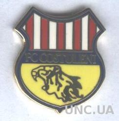 футбольный клуб ФК Костулени (Молдова) ЭМАЛЬ / FC Costuleni,Moldova football pin