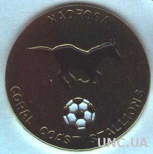 футбольный клуб ФК Надрога (Фиджи), тяжмет / Nadroga FA, Fiji football pin badge