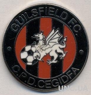 футбольный клуб Гилсфилд (Уэльс) ЭМАЛЬ / Guilsfield FC, Wales football pin badge