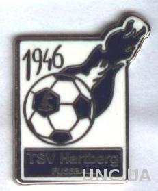футбольный клуб Хартберг(Австрия) ЭМАЛЬ /TSV Hartberg,Austria football pin badge