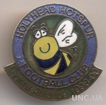 футбольный клуб Холихед (Уэльс) ЭМАЛЬ / Holyhead Hotspur FC,Wales football badge