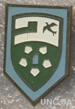 футбольный клуб Мерцхали Озургети (Грузия), тяжмет / Mertskhali, Georgia badge